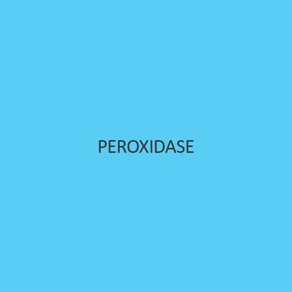 Peroxidase (From Horse Raddish)