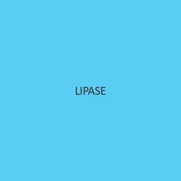 Lipase