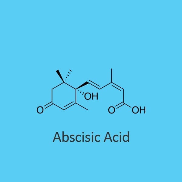 Abscisic Acid