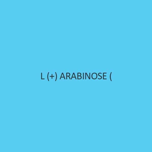 L + Arabinose
