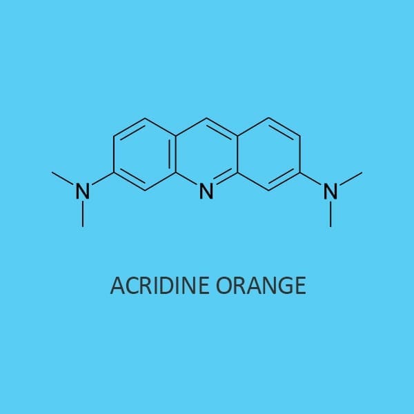 Acridine Orange M S