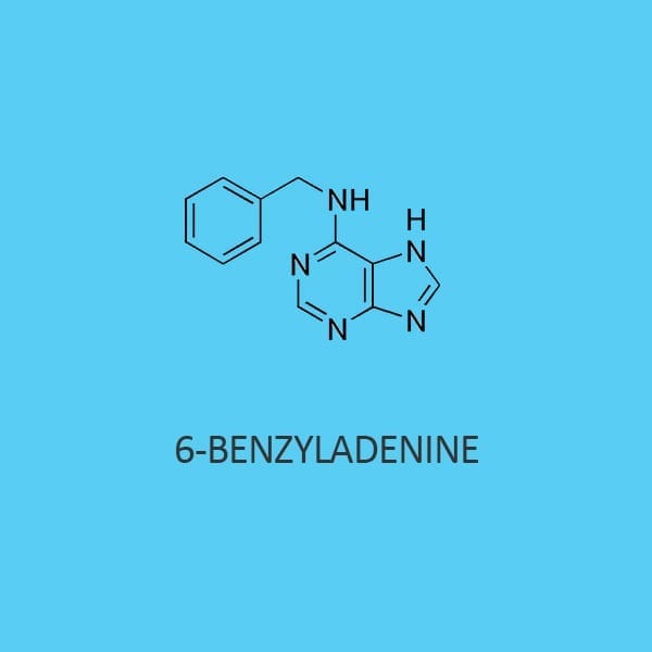 6 Benzyladenine