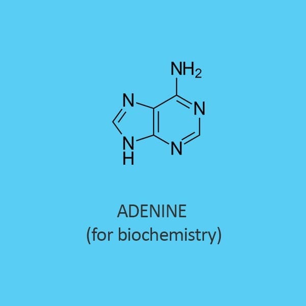 Adenine for biochemistry
