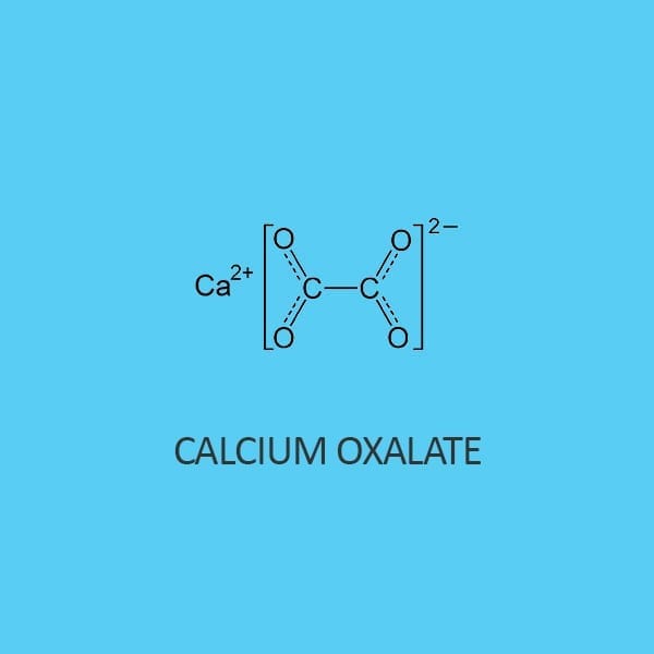 Calcium Oxalate