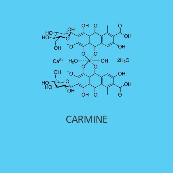 Carmine MS