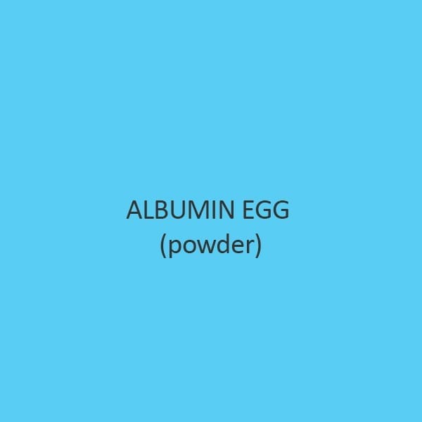 Albumin Egg Powder