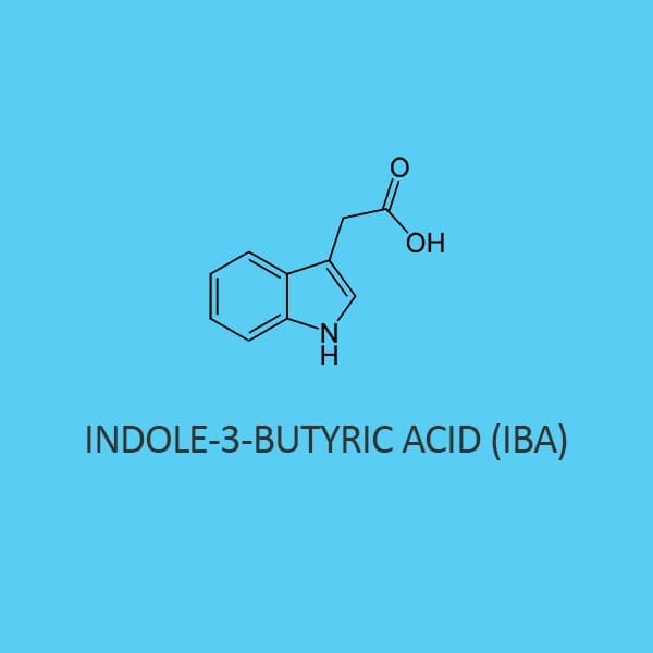 Indole-3-Butyric Acid 99% For Biochemistry (Iba)