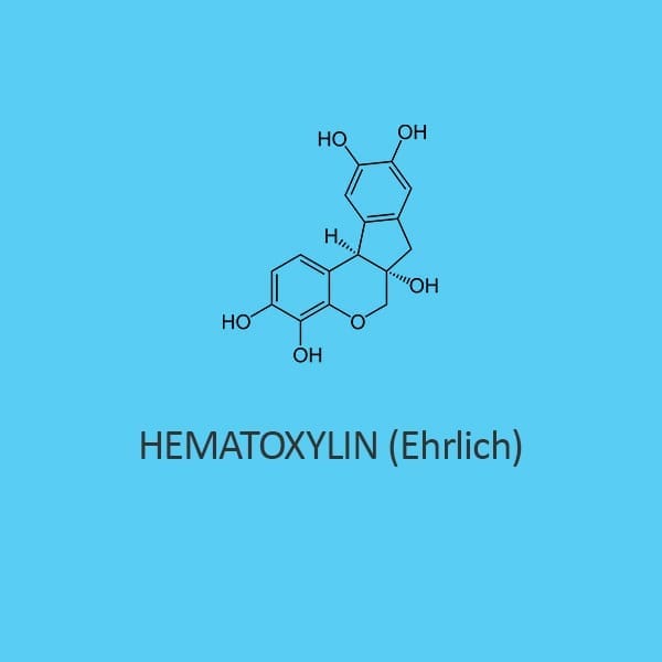 Hematoxylin (Ehrlich) Staining Solution