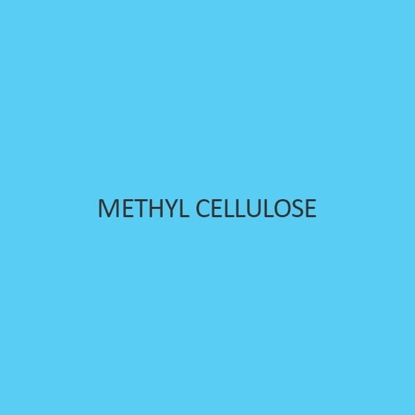 Methyl Cellulose