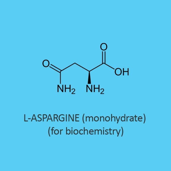 L Aspargine Monohydrate for biochemistry