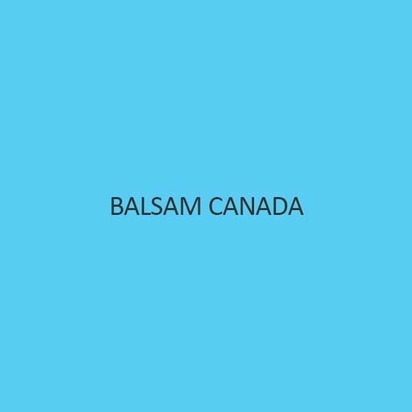 Balsam Canada Synthetic
